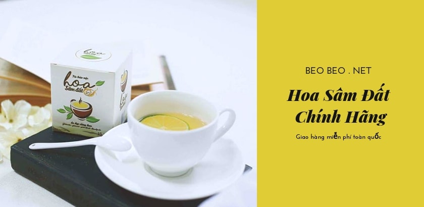 Banner trà giảm cân hoa sâm đất