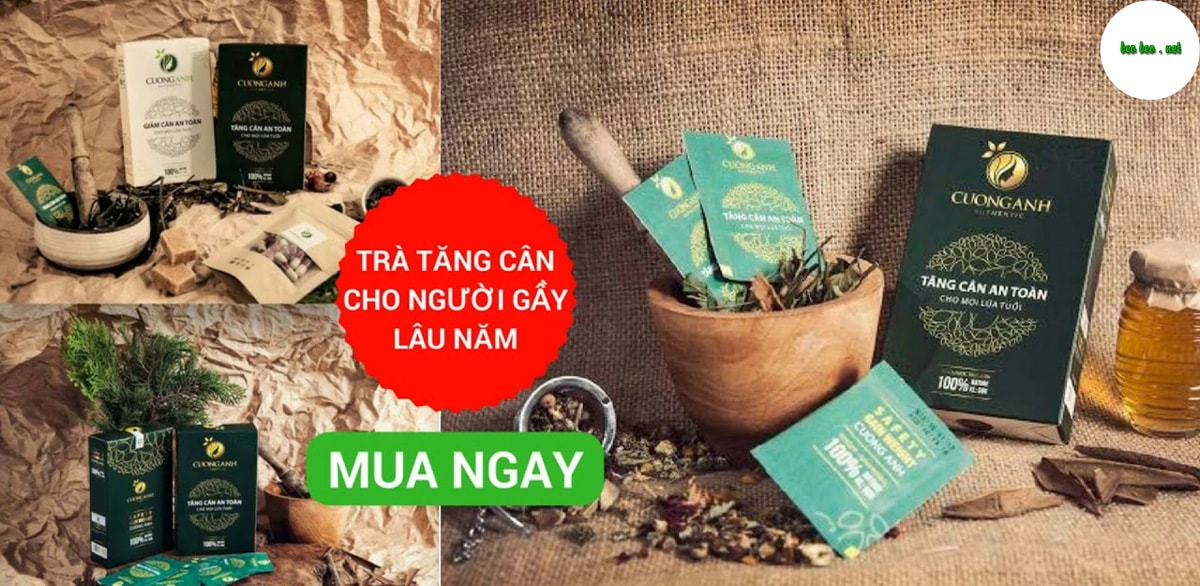 banner trà tăng cân cường anh