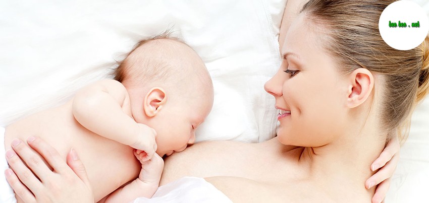 Banner ngũ cốc lợi sữa