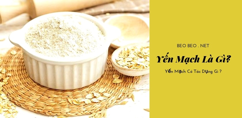 Banner yến mạch là gì